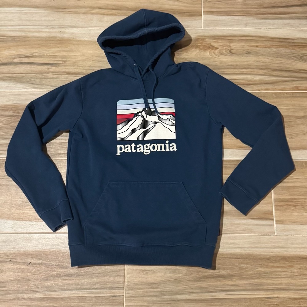 Patagonia Navy Hoodie with Multicolor Mountain Logo